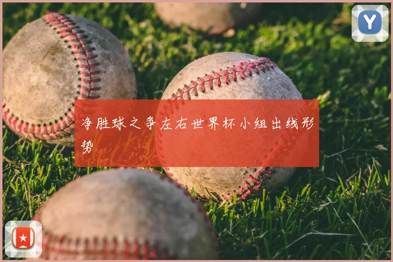 净胜球之争左右世界杯小组出线形势
