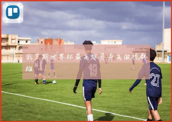 俄罗斯世界杯最高球员身高傲视群雄