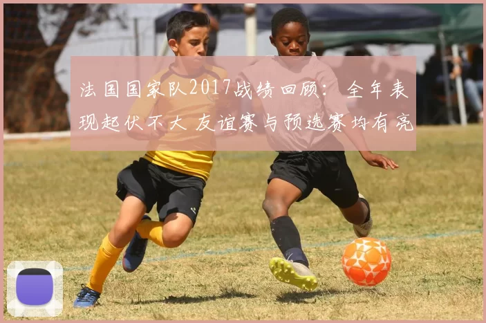 法国国家队2017战绩回顾：全年表现起伏不大 友谊赛与预选赛均有亮点
